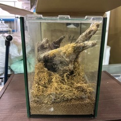 水槽の画像
