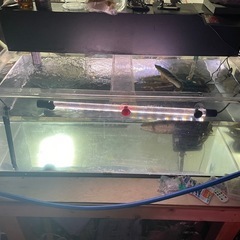 水槽1200生体セット