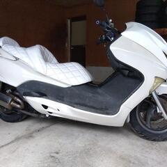 今月引き取り希望　ホンダ　フォルツァMF08の画像