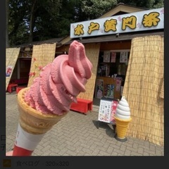🔹水戸／偕楽園の梅祭り🍦
