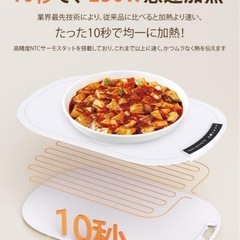 ✨大特価✨フードウォーマープレート 食品保温　保温プレート　 電気プレートの画像