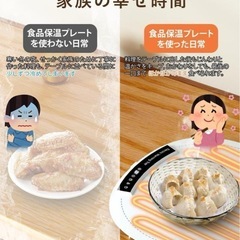 ✨大特価✨フードウォーマープレート 食品保温　保温プレート　 電気プレートの画像