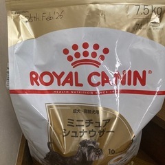 ドッグフード　ミニチュアシュナウザー 