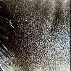 【取引中
】牛革🌟3人掛けソファーの画像