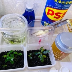 アクアリウム用品　写真のもの全てお譲りします　水槽(新品)、ライト、フィルター…etcの画像