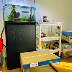 コトブキ レグラスの中古が安い！激安で譲ります・無料で