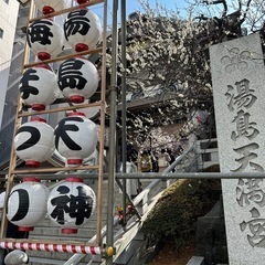 3/2 湯島天神梅まつり  - あきる野市