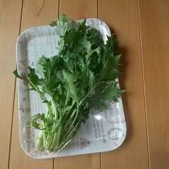 採れたて無農薬水菜、約100ｇ