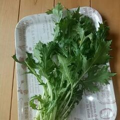 採れたて無農薬水菜、約100ｇの画像