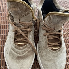 レブロンNIKE バスケットシューズ 