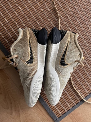 レブロンNIKE バスケットシューズ 