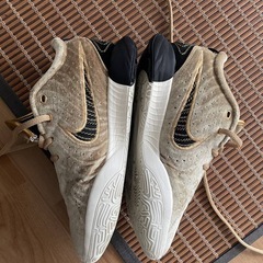 レブロンNIKE バスケットシューズ の画像