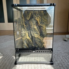 GEX グラステラリウム 3040 爬虫類ケージの画像