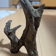 アクアリウム流木(中古品)の画像