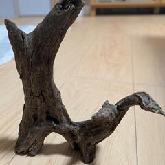 アクアリウム流木(中古品)
