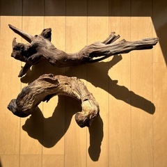 30・40cm流木の画像