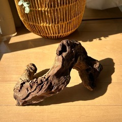 30・40cm流木の画像