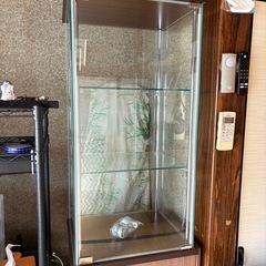 不二貿易ガラス コレクションケース ３段