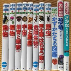 小学館の図鑑neo 本/CD/DVDの中古が安い！激安で譲ります・無料