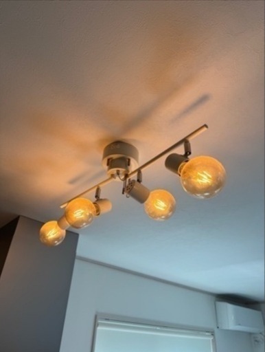 電気　電球