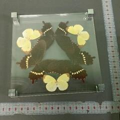 大幅値下げ延反機中古 (HalU) 練馬のその他の中古あげます・譲り