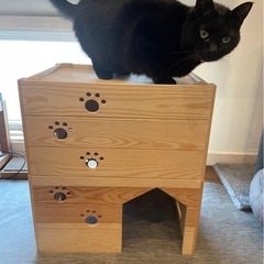 世界に一つだけ！手作り　ねこねこハウスの画像