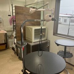 トリマーさん募集中☆の画像