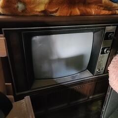 テレビ、の画像