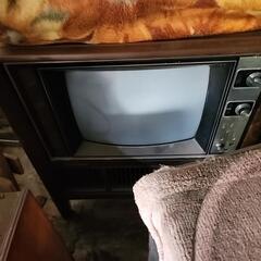 テレビ、