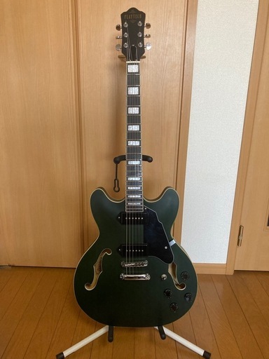 弦楽器、ギター PLAYTECH SA20 Green