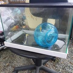ガラス水槽の画像