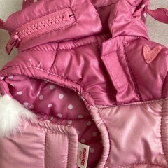 ペットパラダイス　小型犬　お洋服の画像