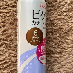 ビゲン カラースプレー　未開封の画像