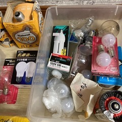 電球セットの画像