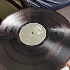 レコード　リーオスカー/ビフォー・ザ・レインの画像