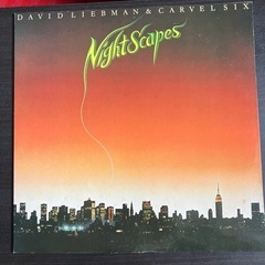 レコード　DAVID LIEBMAN&CARVEL SIX/NI...