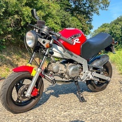 【動画あり】HONDA  MonkeyR AB22 110cc モンキーR の画像