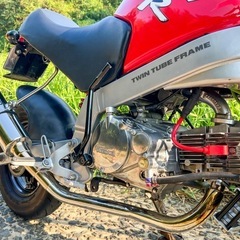 【動画あり】HONDA  MonkeyR AB22 110cc モンキーR の画像
