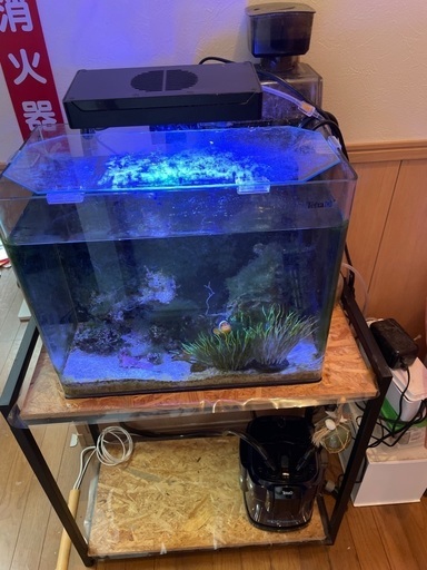 海水魚飼育セット