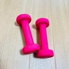 ダンベル 1キロ 2個セット