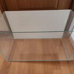 ADA水槽60㎝の画像