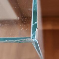 ADA水槽60㎝の画像