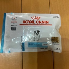 スキンケア　パピー