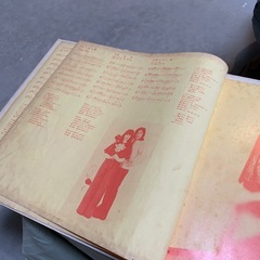チェリッシュ　春のロマンス　レコードの画像