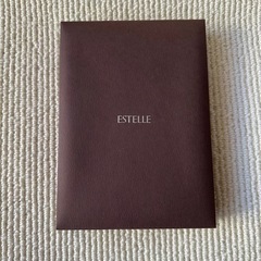 ESTEELネックレス空箱　ジュエリーケース