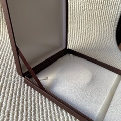 ESTEELネックレス空箱　ジュエリーケースの画像