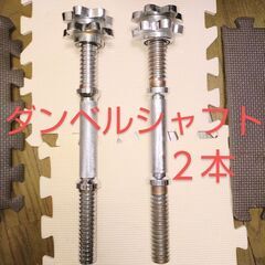 ダンベルシャフト(38cm 28mm)が  2本です