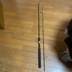 アオリイカロッド