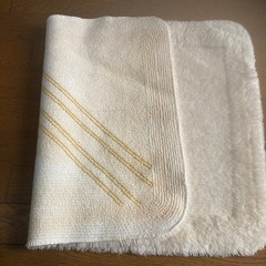 玄関マット　バスマットの画像