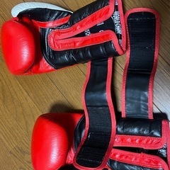 グローブの画像